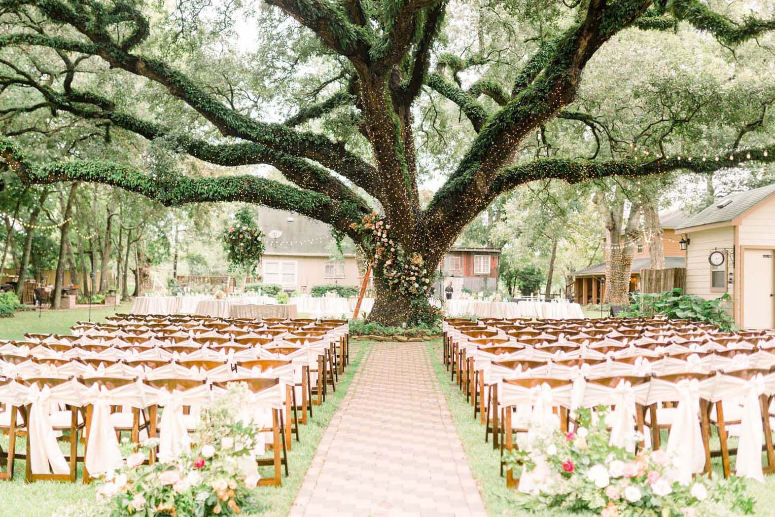 Oak Tree Wedding